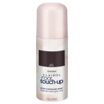 Clairol Nice and Easy Root Touch Up Root Concealing Spray Dark Brown