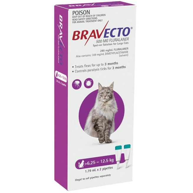 Bravecto Cat Spot On 6.25-12.5Kg Pack of 2