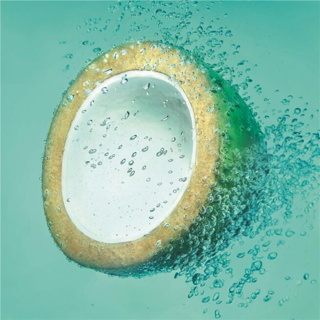 Garnier Fructis Coconut Water Conditioner 850mL