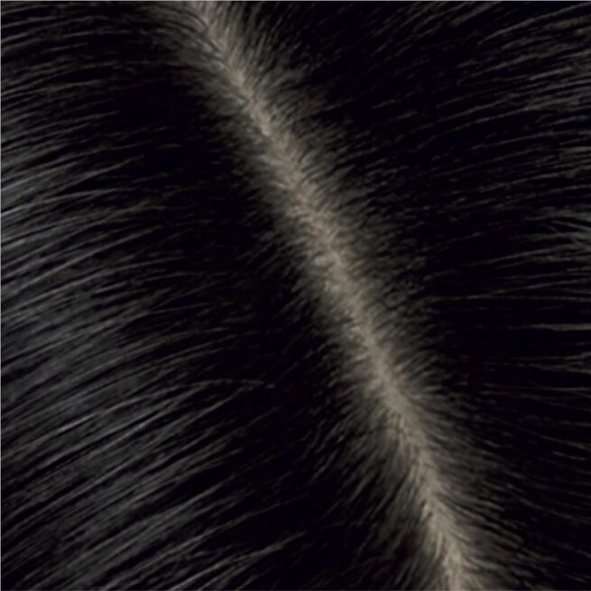 Clairol Root Touch Up Natural Instincts 2 Black Permanent Hair Colour