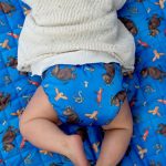 Designer Bums Cloth Nappy The Gruffalo and Friends Pack of 3
