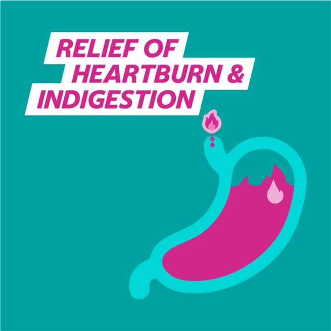 Gaviscon Dual Action Heartburn and Indigestion Relief Mixed Berry Pack of 16