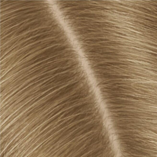 Clairol Root Touch Up Natural Instincts 8 Medium Blonde Permanent Hair Colour