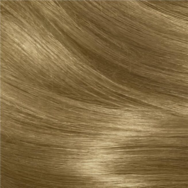 Clairol Nice N Easy 8CB Natural Medium Champagne Blonde Permanent Hair Colour