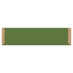 Elastoplast Green and Protect Dressing Length 1m x 6cm Pack of 10